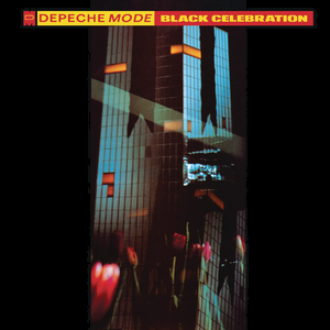 Black Celebration Cover